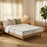 Spine-Lab 5-Zone Bonnell Spring Foam Mattress 21cm Medium Firm