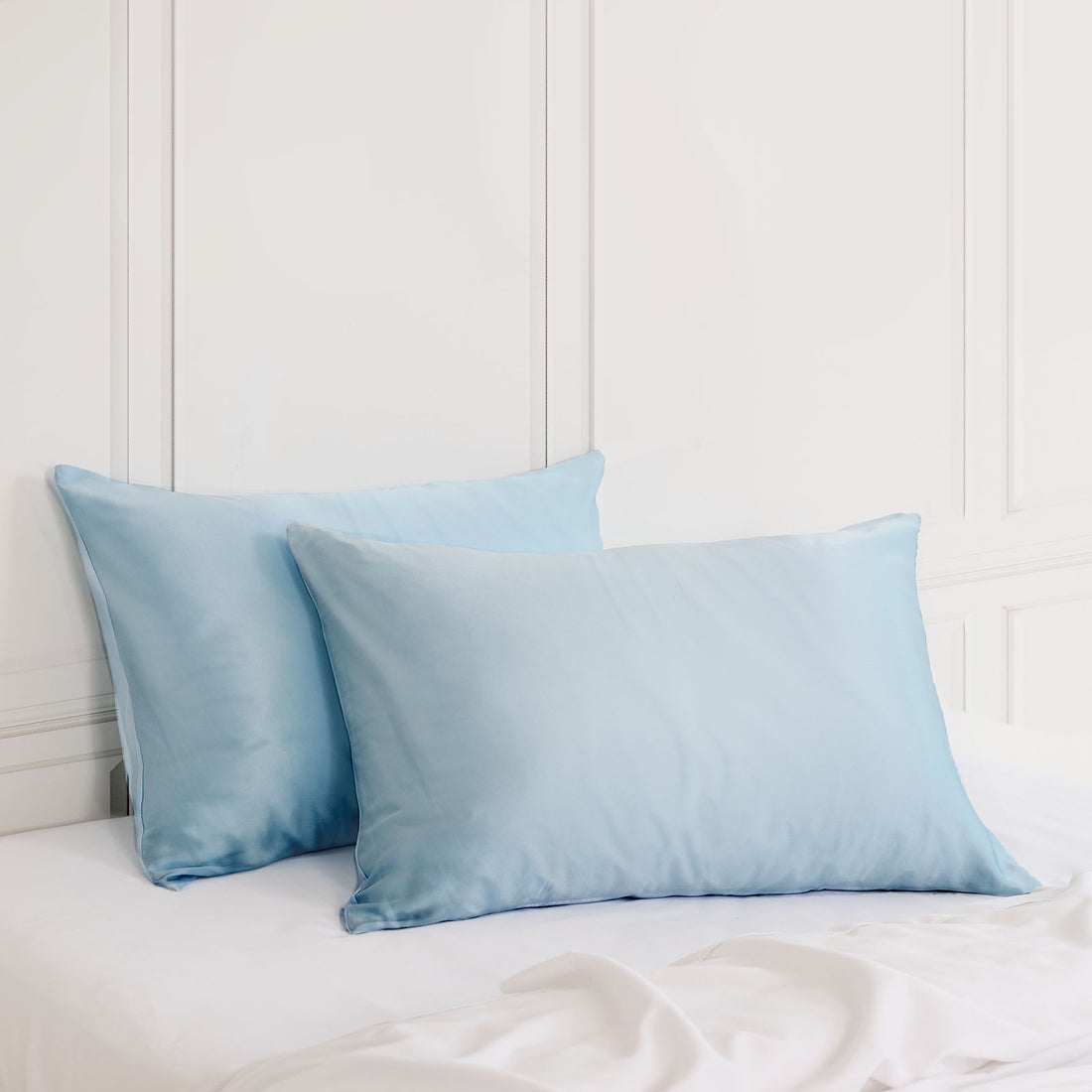 Royal Comfort Mulberry Silk Hypoallergenic Pillowcase Twin Pack