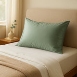 Royal Comfort 100% Mulberry Silk Pillowcase Hypoallergenic Pure Silk