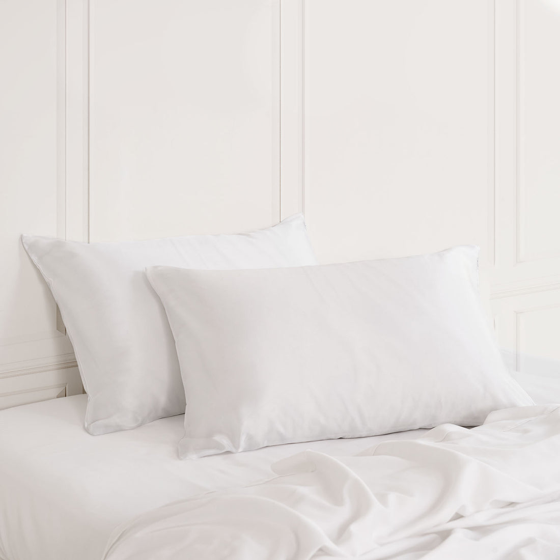 Royal Comfort Mulberry Silk Hypoallergenic Pillowcase Twin Pack