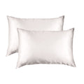 Royal Comfort Mulberry Soft Silk Luxurious Hypoallergenic Pillowcase Twin Pack