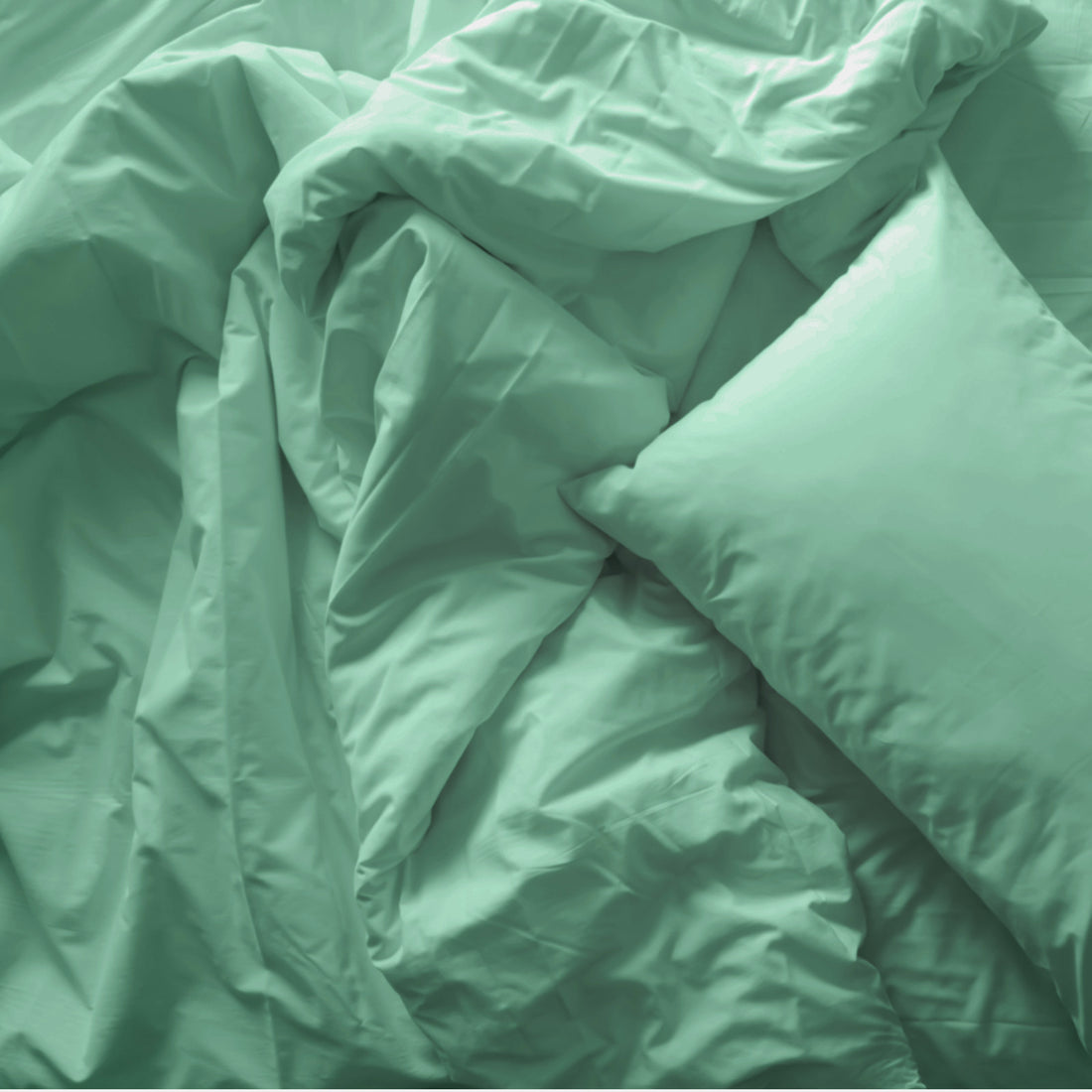 Royal Comfort 1000TC Bamboo Blend Quilt Cover Set Ultra Soft Breathable