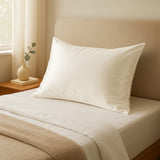 Royal Comfort 100% Mulberry Silk Pillowcase Hypoallergenic Pure Silk